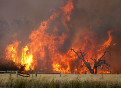 fire.png